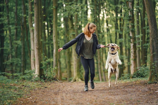 Wandelen met hond SHE Health Clinics